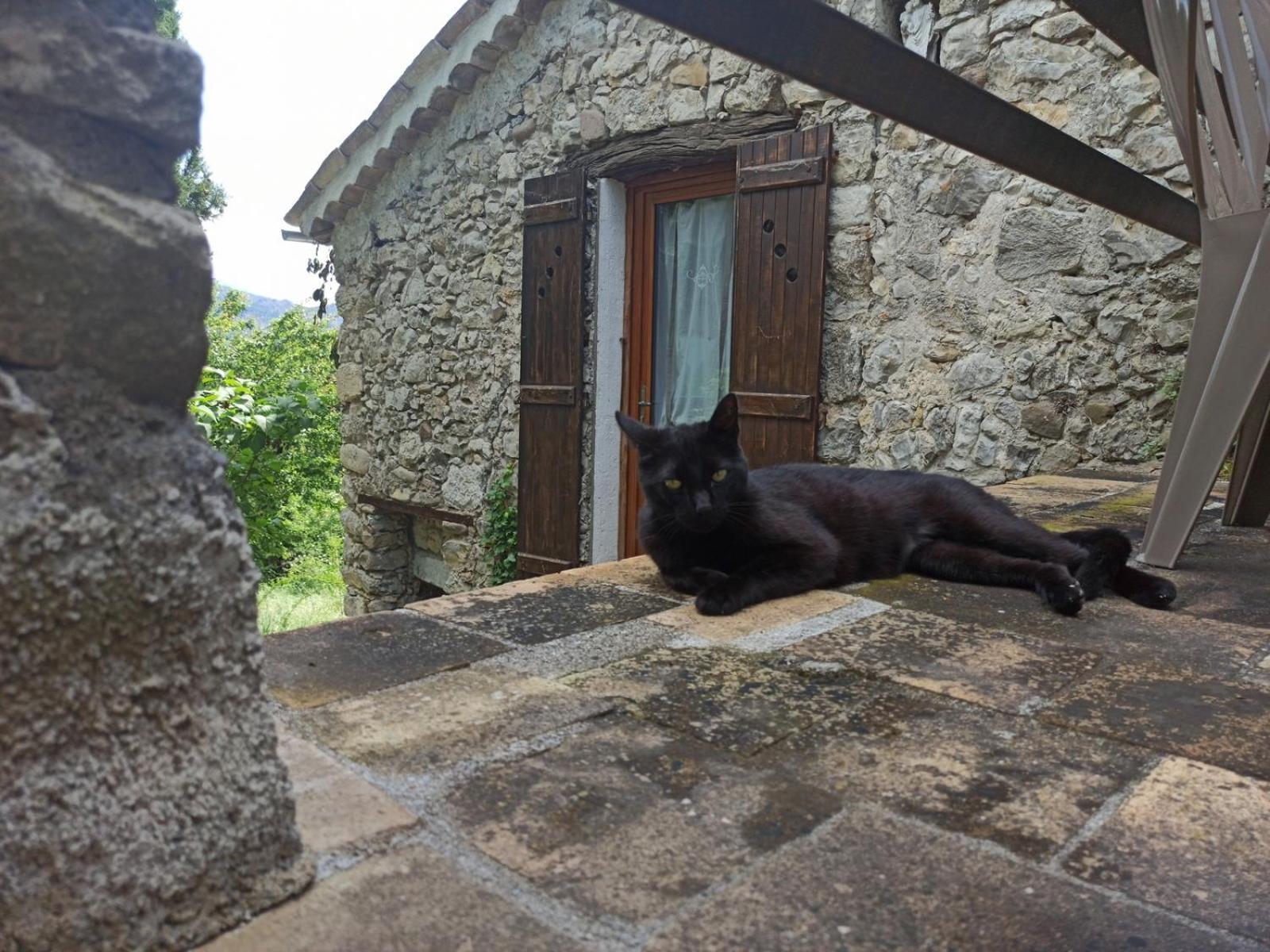 Chambres D'Hotes - La Maison De Julie Entrevaux Buitenkant foto